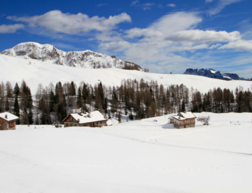 The Falcade ski area